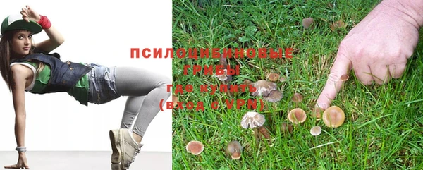 винт Арсеньев