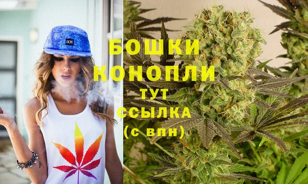 дурь Аркадак