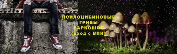 дурь Аркадак