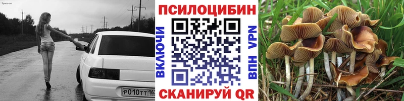 где купить наркоту  Бабушкин  Псилоцибиновые грибы MAGIC MUSHROOMS 
